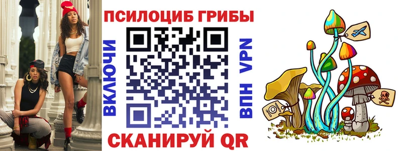 Псилоцибиновые грибы Cubensis  Калачинск 